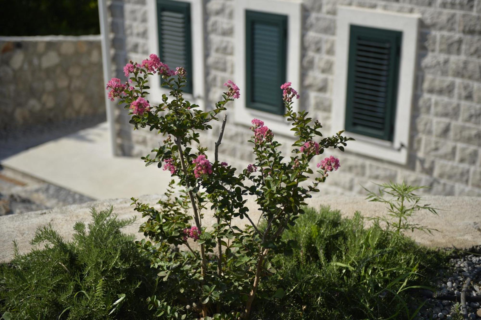 טיווט Villa Vista Azzurra מראה חיצוני תמונה
